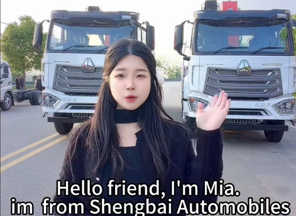 SINOTRUK HOWO Changxing 12-ton 7-section Truck mounted crane